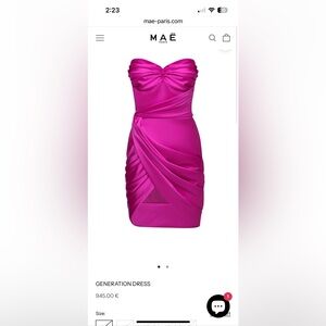 MAE Paris silk dress! Retails for 1000